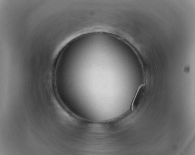 X0000092021500200709201541