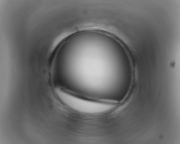 X0000092021501200709201541