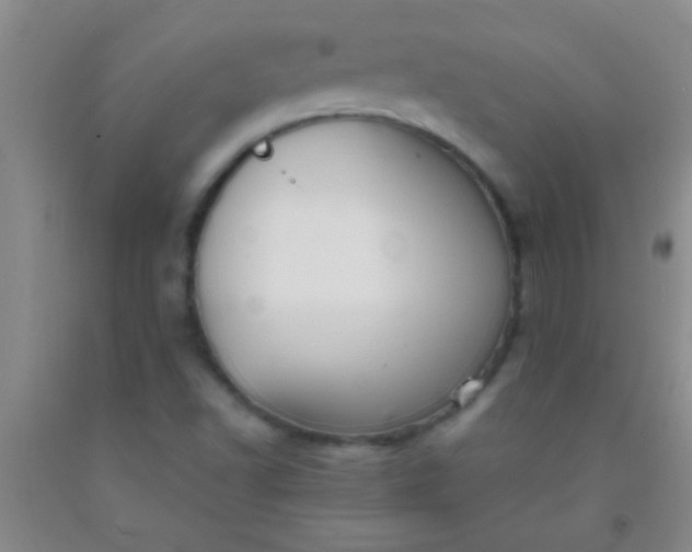 X0000092021502200709201541