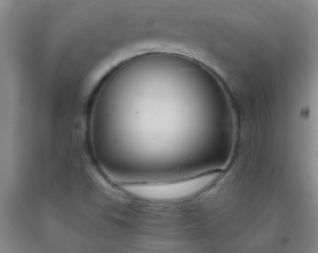 X0000092021503200709201541