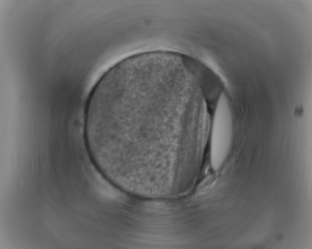 X0000092021508200709201541