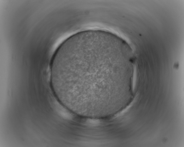 X0000092021509200709201541