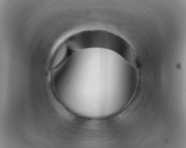 X0000092021510200709201541