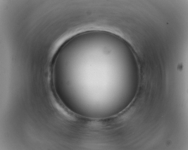 X0000092021511200709201541