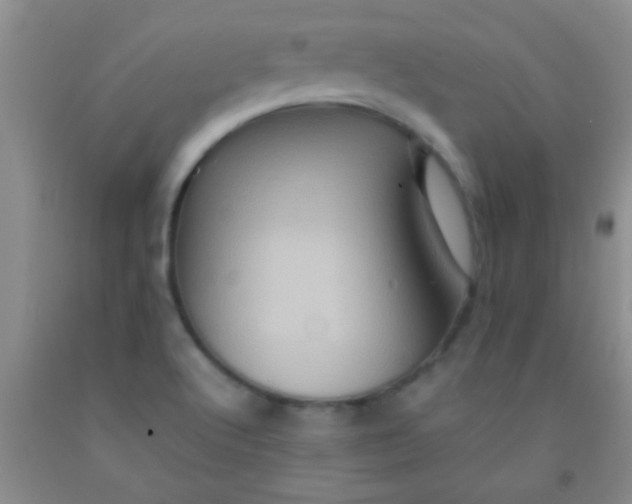 X0000092021512200709201541