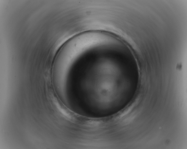 X0000092021513200709201541