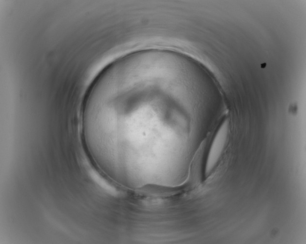 X0000092021515200709201541