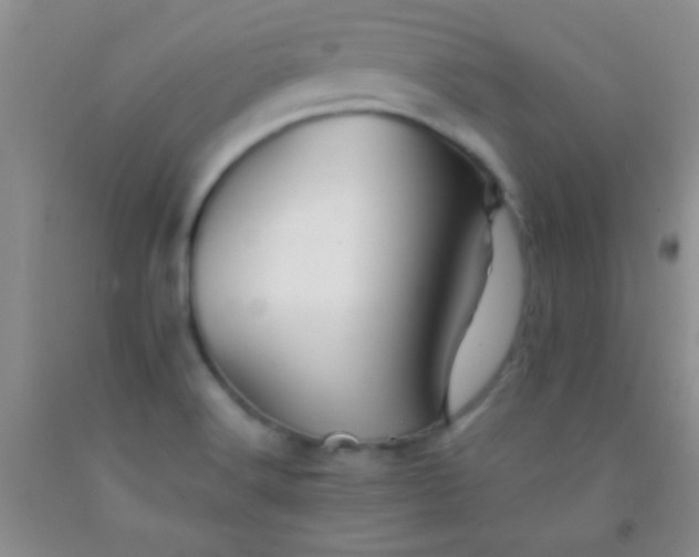 X0000092021516200709201541