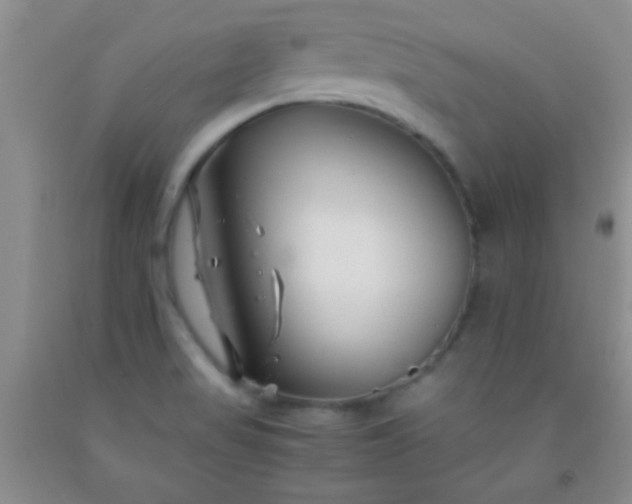 X0000092021517200709201541