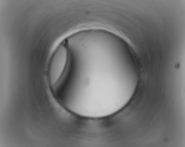 X0000092021518200709201541