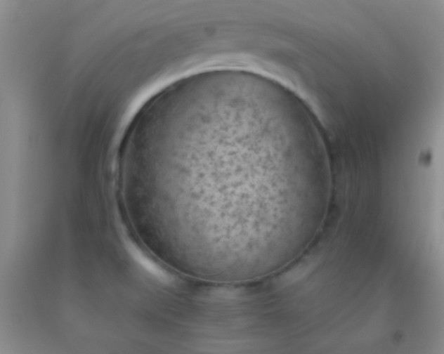 X0000092021519200709201541