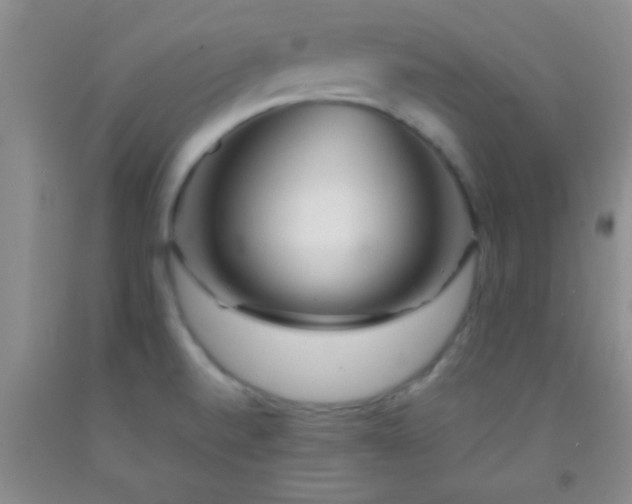 X0000092021520200709201541