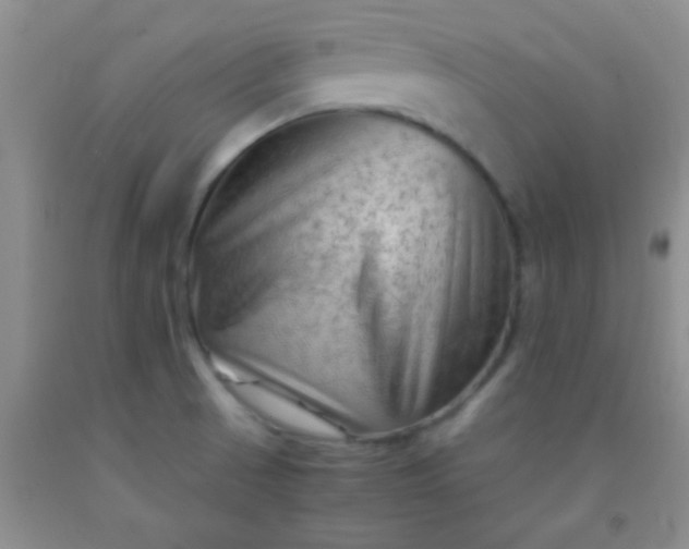 X0000092021521200709201541