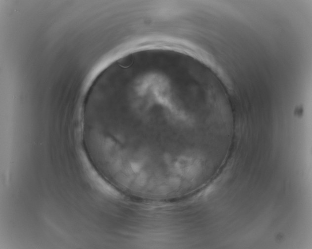 X0000092021522200709201541