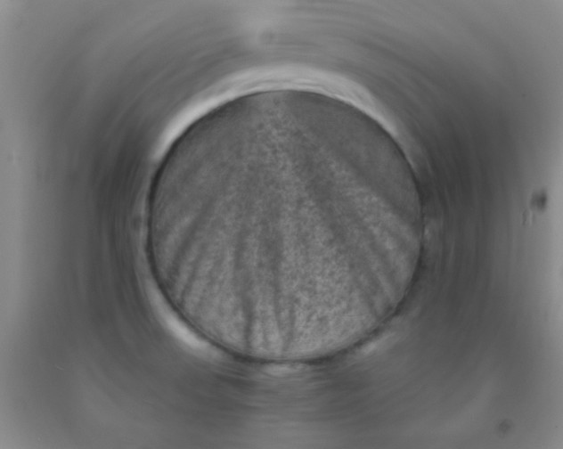 X0000092021523200709201541