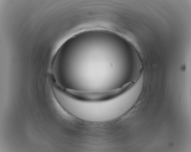 X0000092021524200709201541