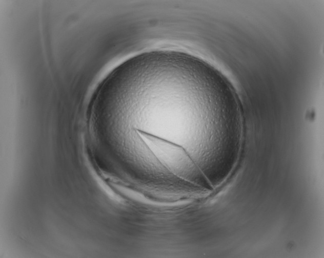 X0000092021525200709201541