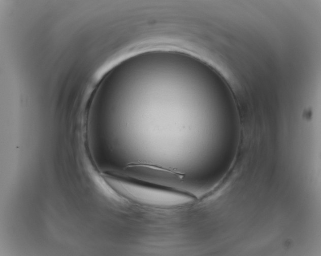 X0000092021526200709201541