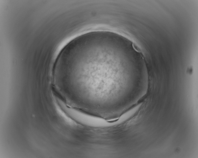 X0000092021527200709201541