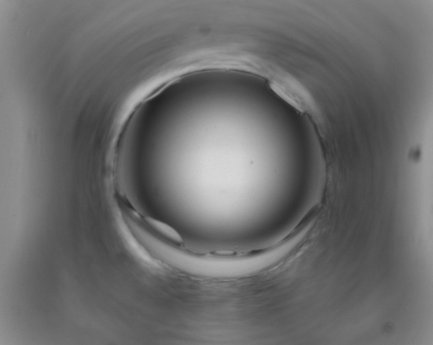 X0000092021528200709201541