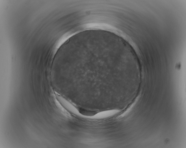 X0000092021529200709201541