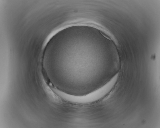 X0000092021530200709201541