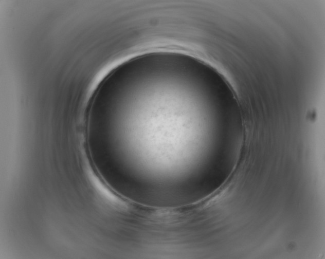 X0000092021531200709201541