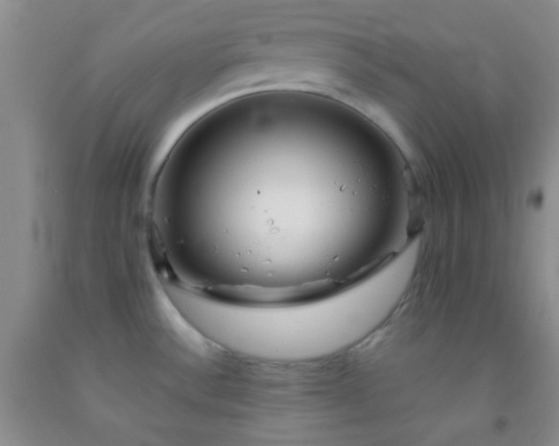 X0000092021532200709201541