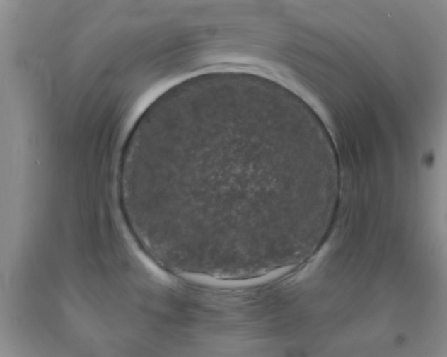 X0000092021533200709201541