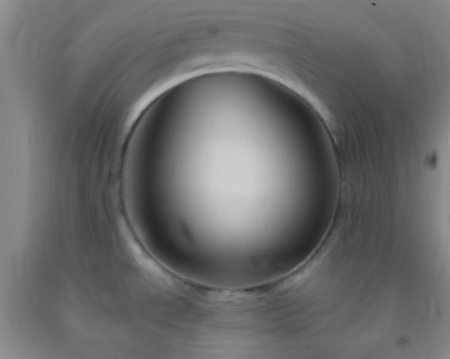 X0000092021534200709201541