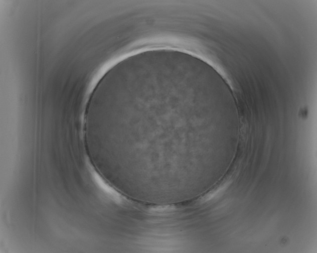 X0000092021535200709201542