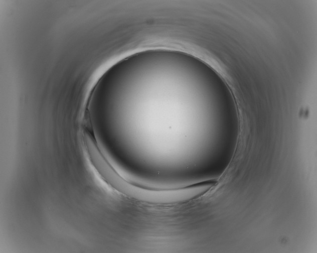 X0000092021536200709201542