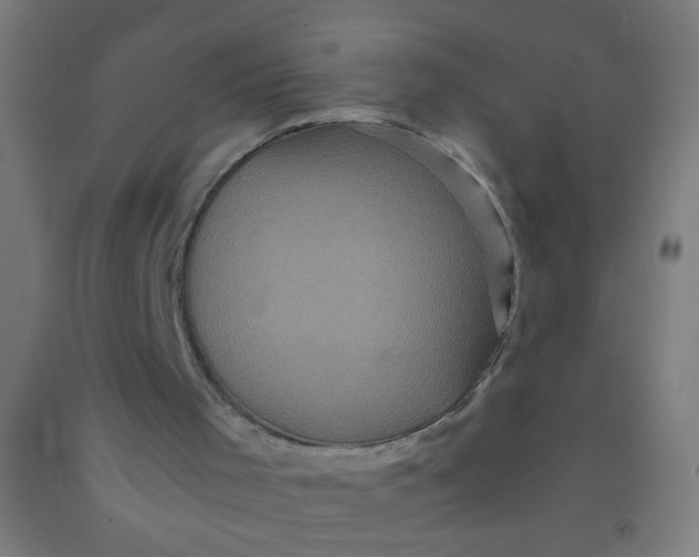 X0000092020001200709271558