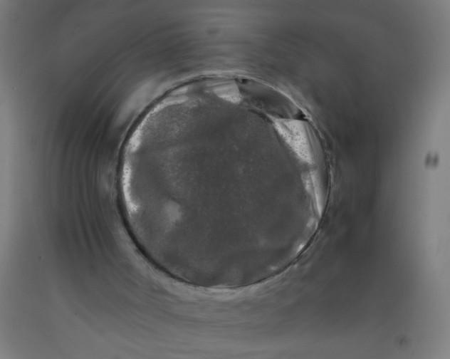 X0000092020002200709271558