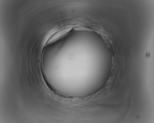 X0000092020003200709271558