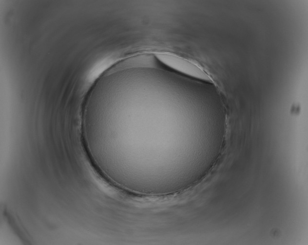 X0000092020005200709271558