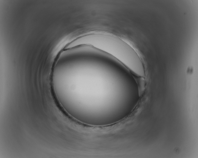 X0000092020007200709271558