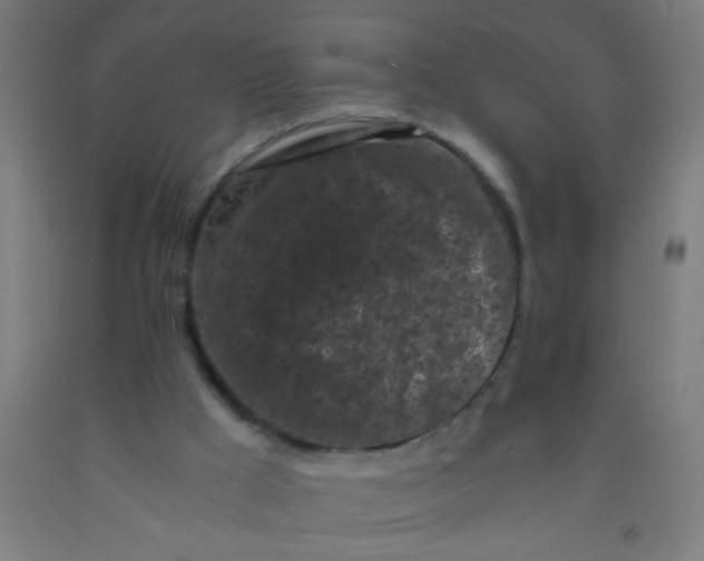 X0000092020009200709271558