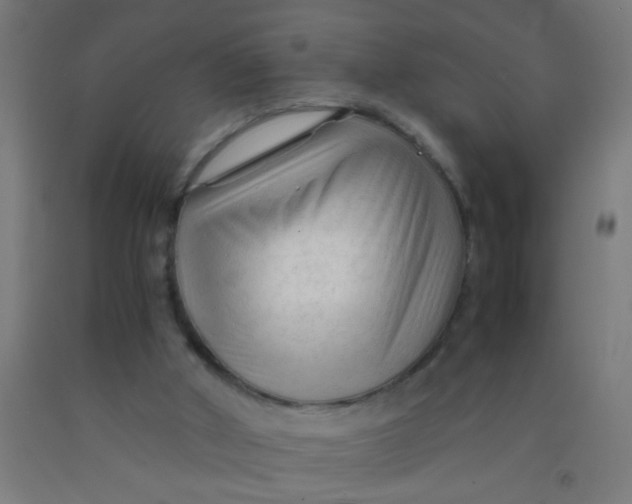 X0000092020010200709271558