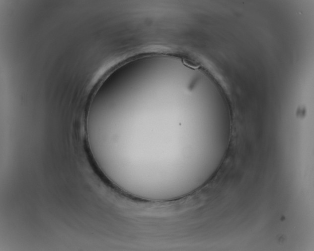 X0000092020011200709271558