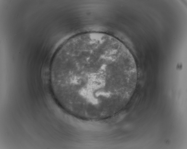 X0000092020012200709271558