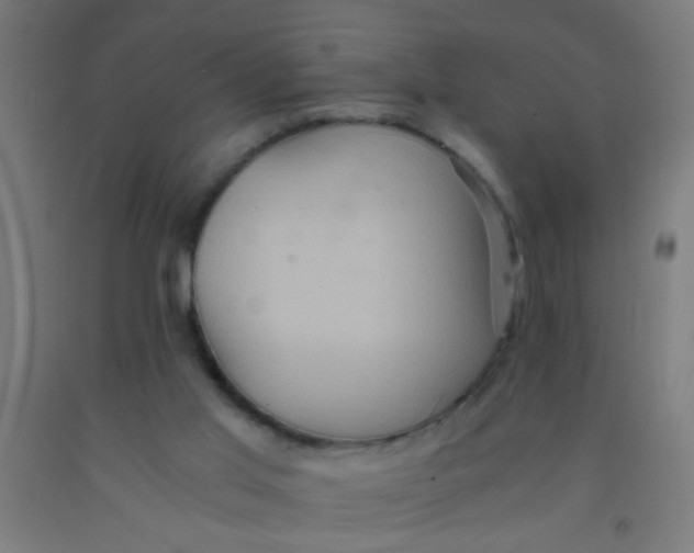 X0000092020013200709271558