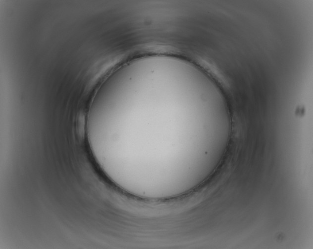 X0000092020014200709271558