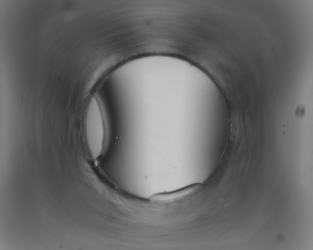 X0000092020015200709271558