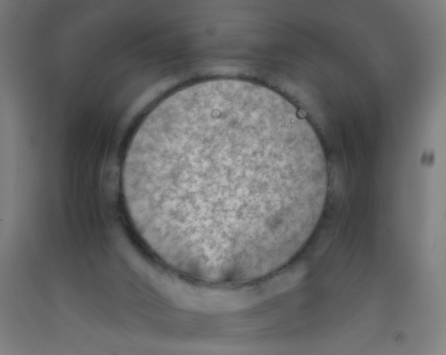 X0000092020016200709271558