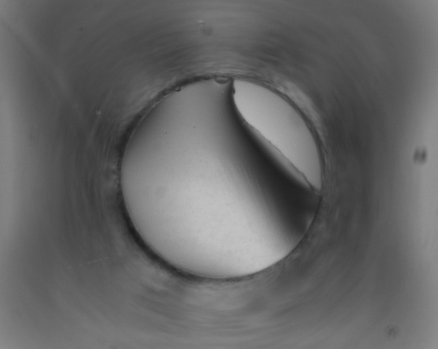 X0000092020017200709271558