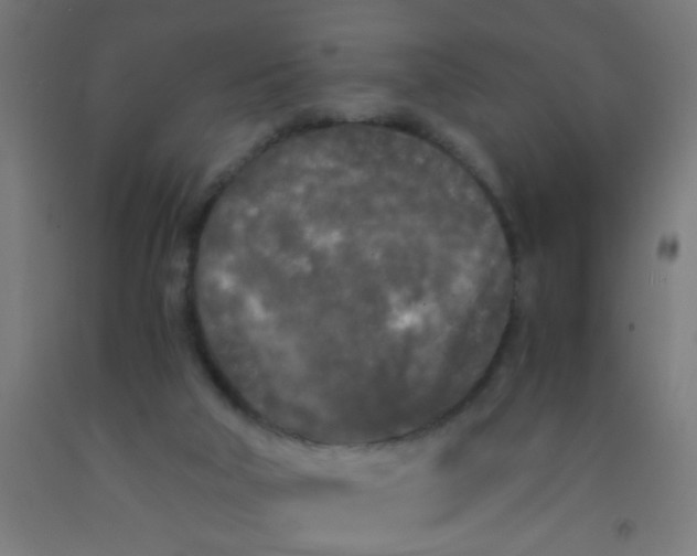 X0000092020018200709271558