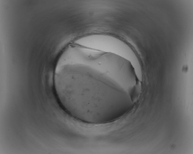 X0000092020019200709271558