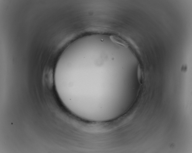 X0000092020020200709271558