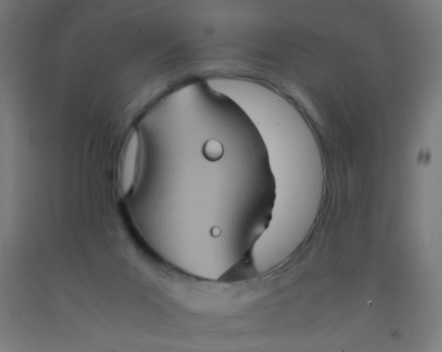 X0000092020023200709271558